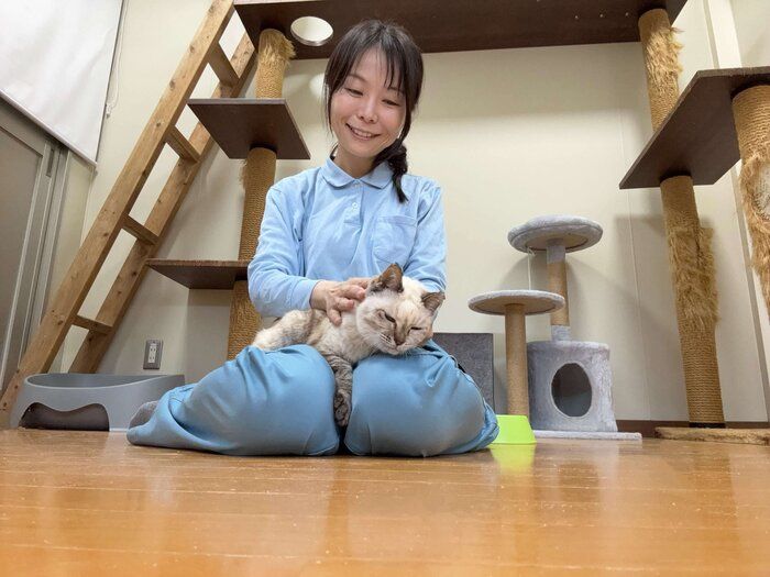 愛護棟の「猫のモデルルーム」は、猫を初めて迎える人の参考となるよう、適切な飼育環境を再現した部屋。写真のユフィちゃんは衰弱した状態で保護された高齢猫で、人懐こく、穏やかな性格。やわらかい食事を与え、体調の変化に気を配っている