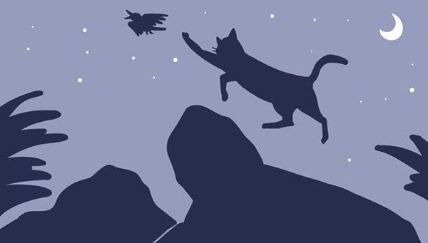 狩りをする猫