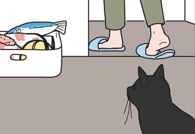 男の猫道に関する記事一覧|ねこのきもちWEB MAGAZINE
