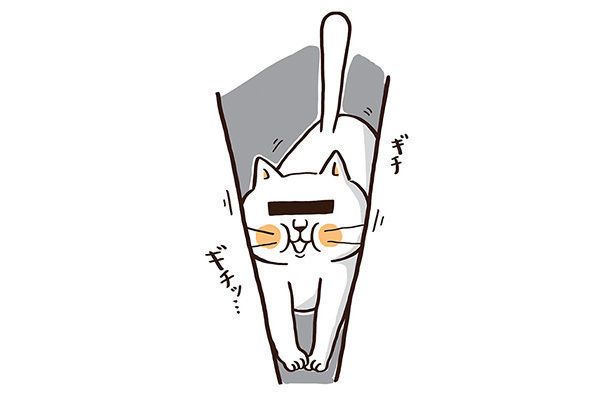 好奇心に負けてしまう猫