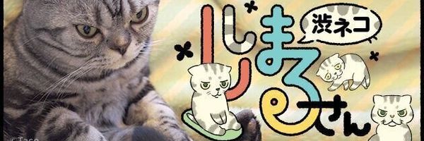 ねこのきもちweb Magazine それでもやっぱり猫が好き ねこのきもちweb Magazine それでもやっぱり猫が好き