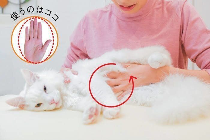 手全体でマッサージする画像