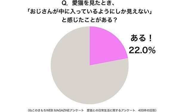 グラフ:愛猫を見たとき、「おじさんが中に入っているようにしか見えない」と感じたことがある?