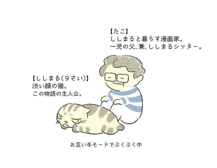 @tacos_cat