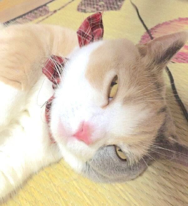 目を開けて眠るリラちゃん