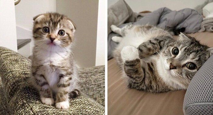 10年前と現在のりっちゃんを比べて。