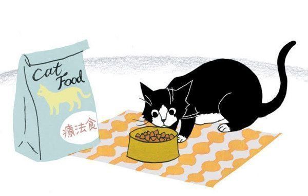 冬に注意したい猫の病気「尿石症」とは