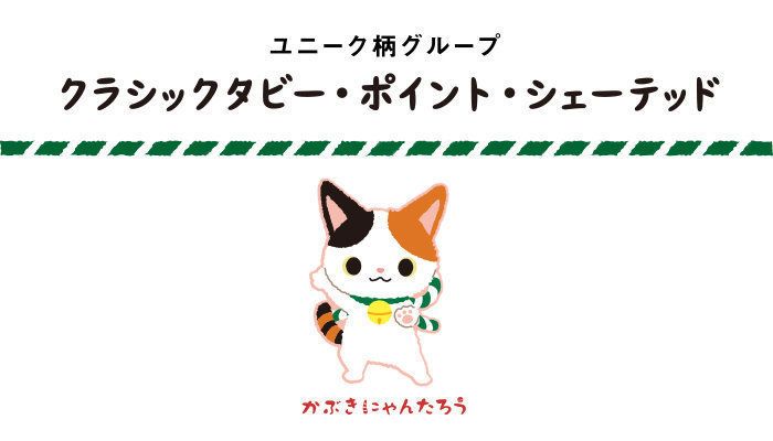 ユニーク柄グループ クラシックタビー・ポイント・シェーテッド