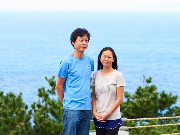 画像提供/御蔵島のオオミズナギドリを守りたい有志の会