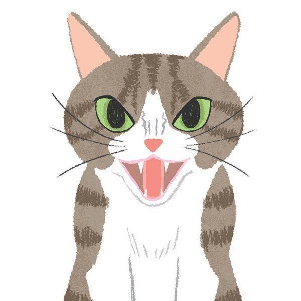 猫の激怒症候群