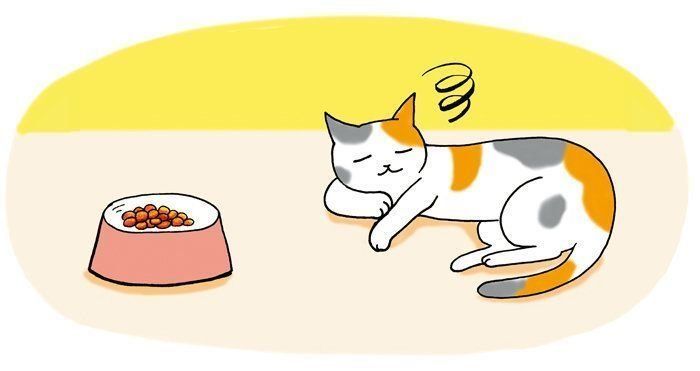 2018年3月号「イマドキ猫の健康事情」