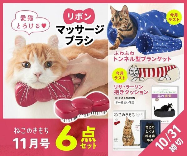 ねこのきもちweb Magazine それでもやっぱり猫が好き ねこのきもちweb Magazine それでもやっぱり猫が好き