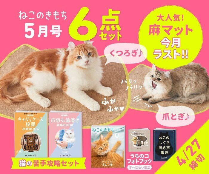 ねこのきもちweb Magazine それでもやっぱり猫が好き