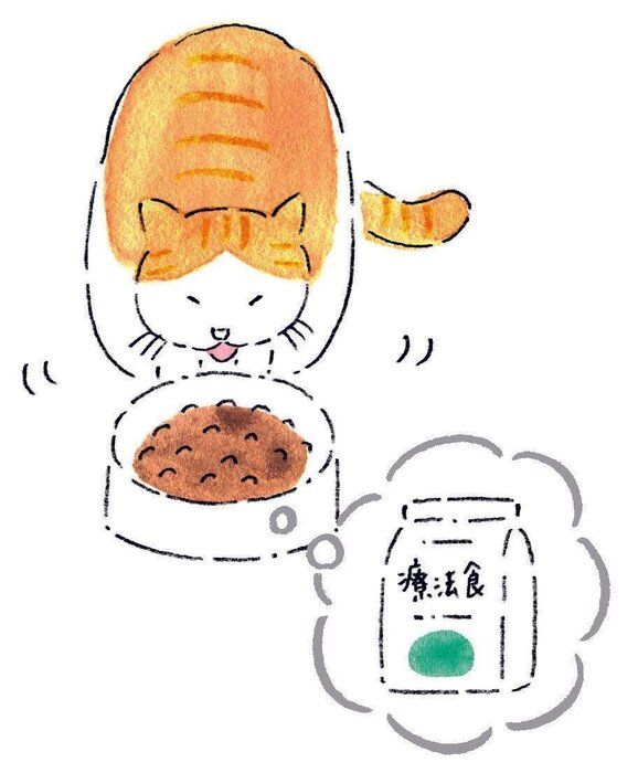 イラスト/みやしたゆみ
