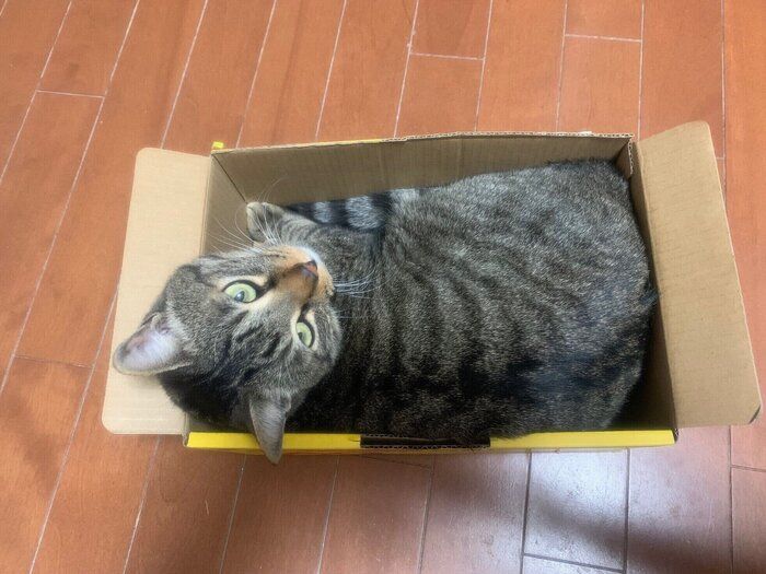 読者提供