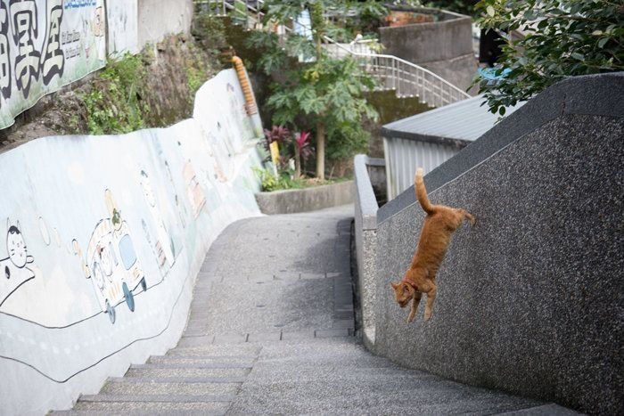 ©Masayuki Oki