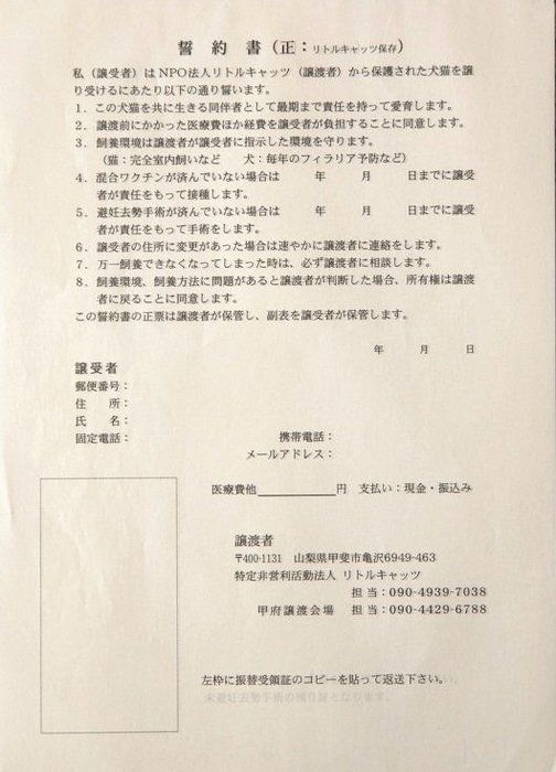 撮影/中川文作