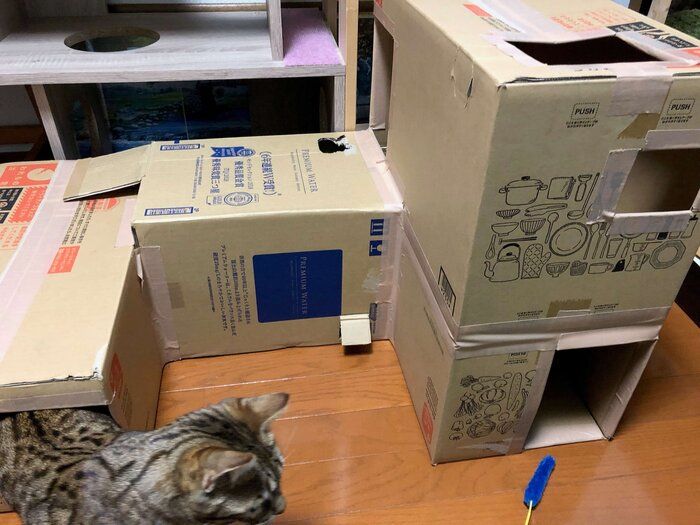 読者提供