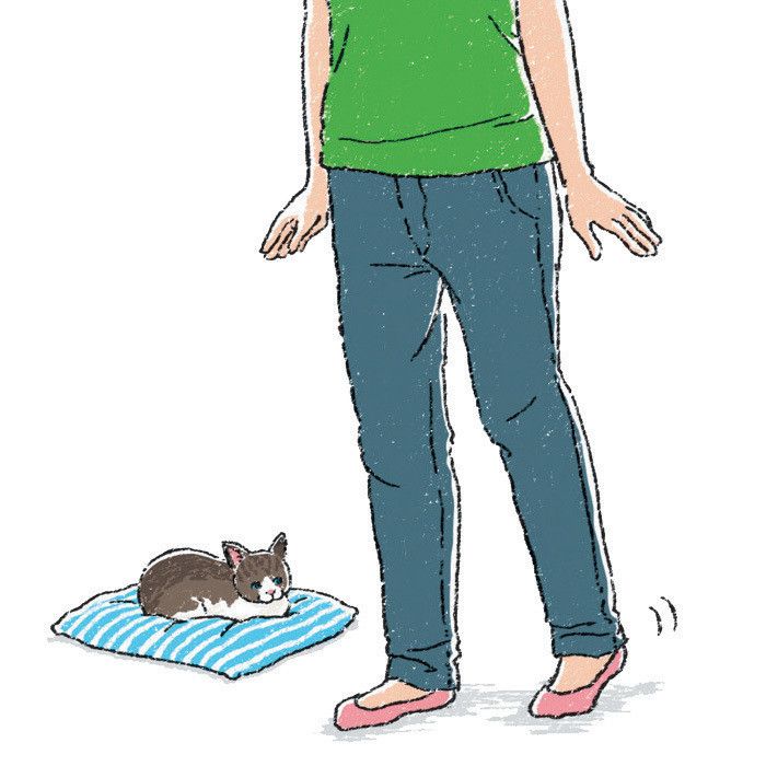 イラスト/おがわようこ