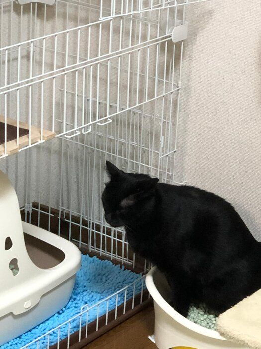 読者提供