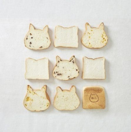 ねこねこ食パンのパン種