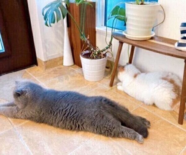 Okras7mwl63fum Okras7mwl63fum