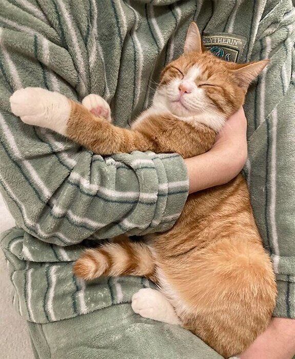 抱っこしてもらういなりくん
