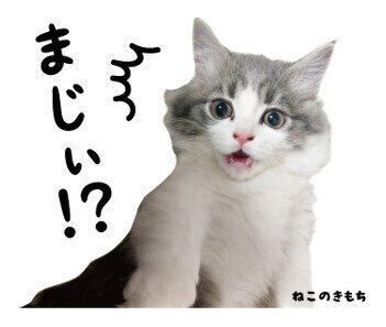 オレオちゃんのスタンプ