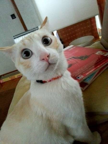 突然の雷にびっくり!
