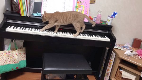 ピアノ
