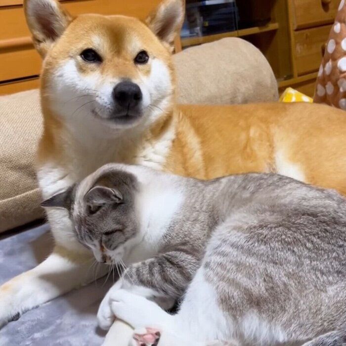 リコちゃんに甘えるリノちゃん