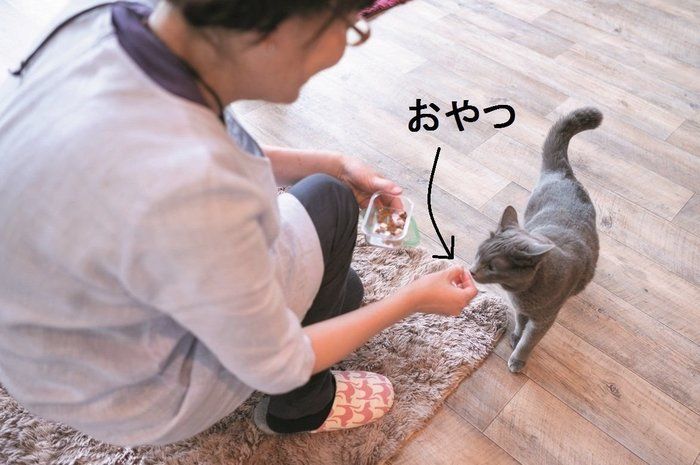 撮影/石原さくら