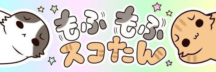 「頭ではわかっていたけれど」保護猫の老いを見つめた2年間の記録【連載】もふもふスコたん#362