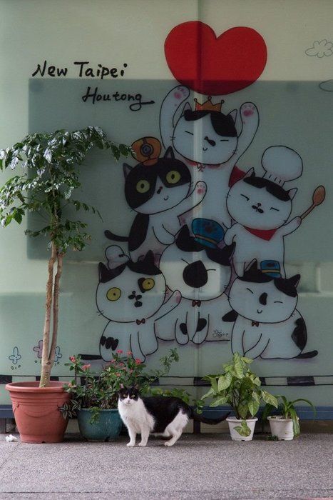 ©Masayuki Oki