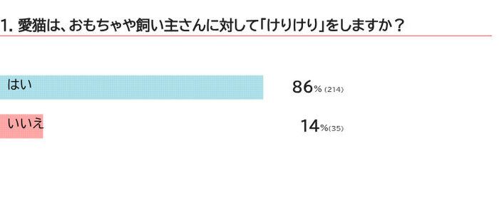 愛猫はけりけりをする？