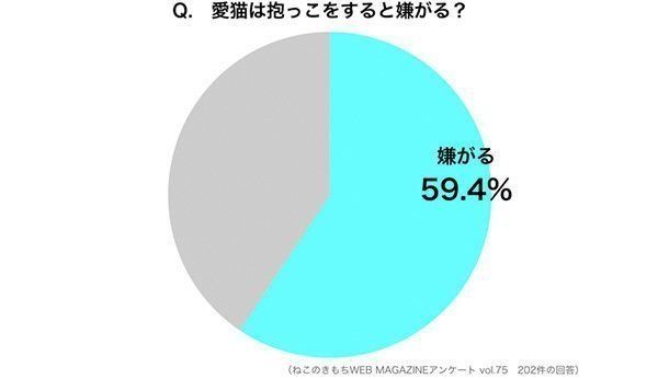 調査:愛猫は抱っこを嫌がる?