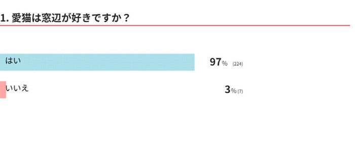愛猫は窓辺が好き？