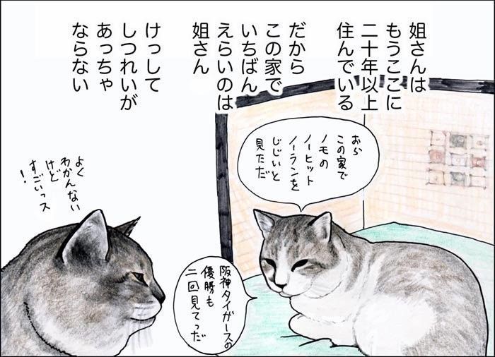 ズン姐さん