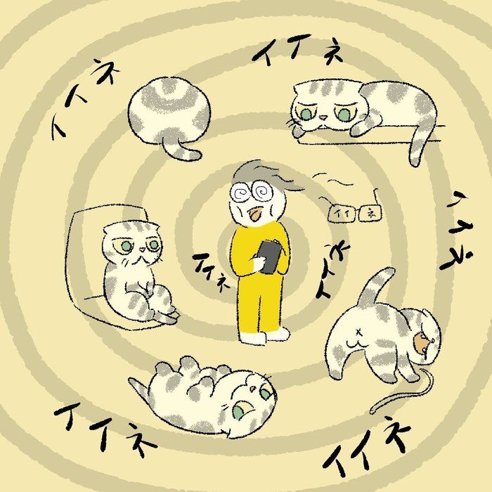 @tacos_cat