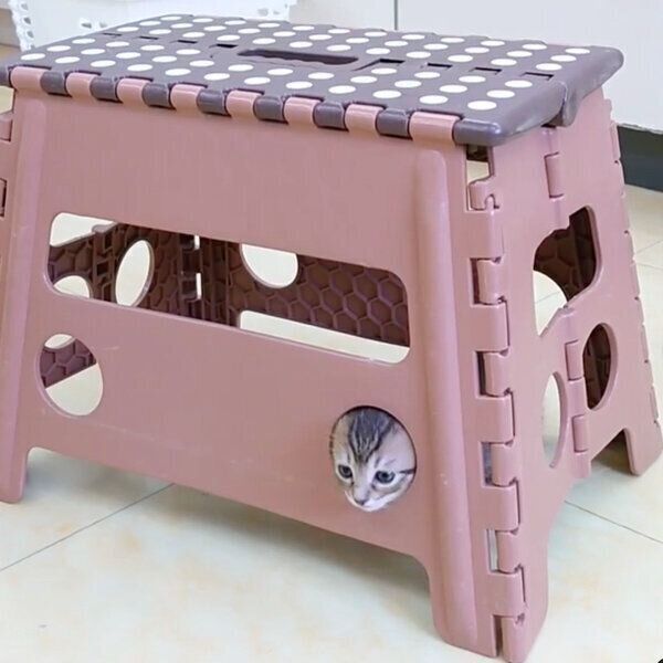 イスの穴から顔を出す子猫