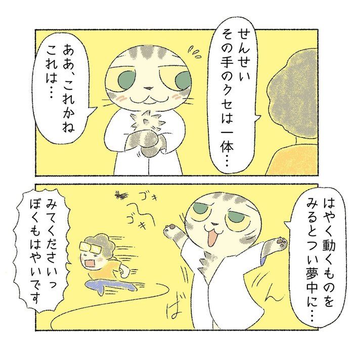 @tacos_cat
