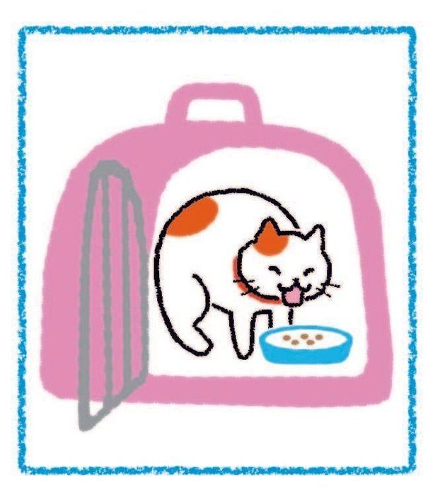 イラスト/内田尚子