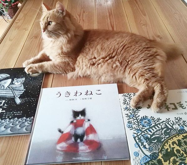 くつろぐ猫