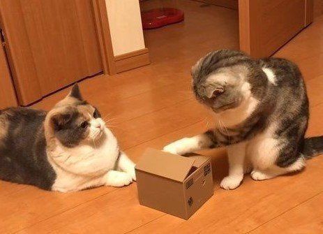 いたずらBANK