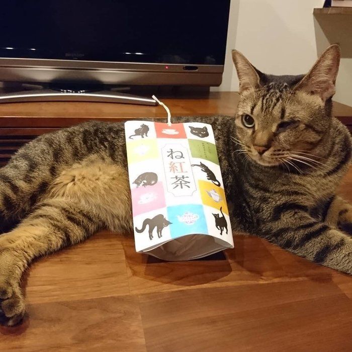 ね紅茶