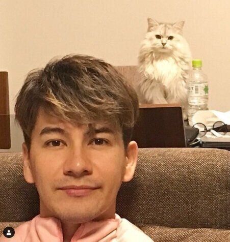 ねこのきもちWEB MAGAZINE ねこの日企画「MEN'S CAT」