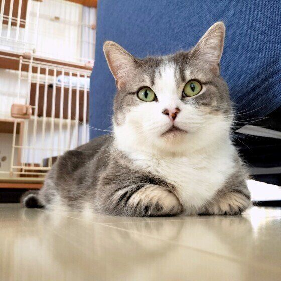 ゆきちくん
