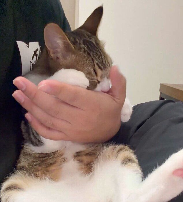 飼い主さんに甘えるラオくん