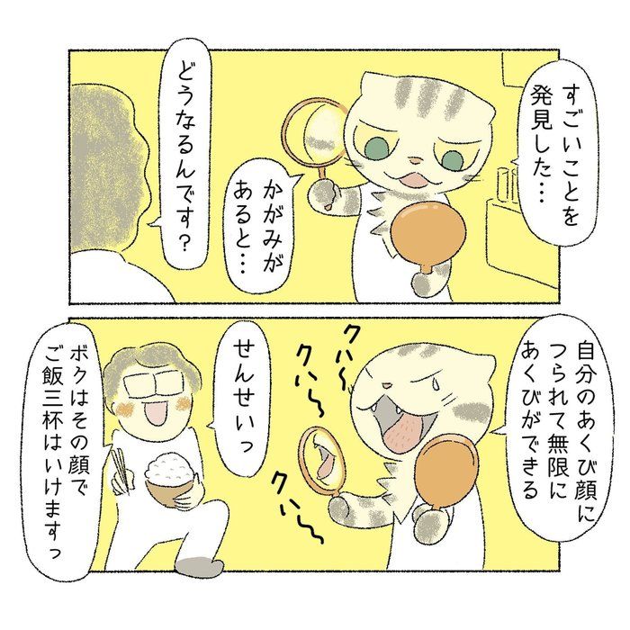 @tacos_cat