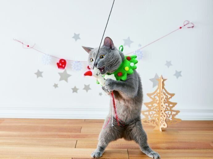 クリスマス